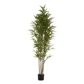 Planta Decorativa Bambu Plástico Cabo de ferro 80 x 180 x 80 cm de Ibergarden, Plantas - Ref: S3611148, Preço: 70,52 €, Desco...