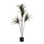 Plante décorative Lame étroite Vert Plastique (80 x 140 x 85 cm) de Ibergarden, Plantes artificielles - Réf : S3611157, Prix ...