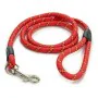 Laisse pour Chien Rayures 120 cm de Mascow, Sangles - Réf : S3614072, Prix : 38,10 €, Remise : %