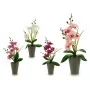 Decorative Plant Orchid Plastic 8 x 35 x 14 cm (12 Units) by Ibergarden, Artificial Plants - Ref: S3614887, Price: 35,19 €, D...