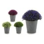 Decorative Plant Plastic 14 x 15 x 14 cm (12 Units) by Ibergarden, Artificial Plants - Ref: S3614911, Price: 28,01 €, Discoun...