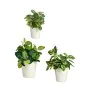 Set de pots Blanc Argile (6 Unités) de Ibergarden, Pots de fleurs - Réf : S3616776, Prix : 44,65 €, Remise : %