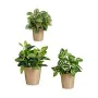 Set of pots Beige Clay (6 Units) by Ibergarden, Flower Pots - Ref: S3616781, Price: 43,94 €, Discount: %