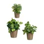 Set de pots Taupe Argile (6 Unités) de Ibergarden, Pots de fleurs - Réf : S3616782, Prix : 44,65 €, Remise : %