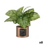 Plante décorative Home Cuivre Cannette (26 x 26 x 26 cm) (6 Unités) de Ibergarden, Plantes artificielles - Réf : S3617837, Pr...