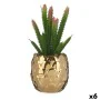 Planta Decorativa Cerâmica Dourado Catos Verde Plástico 6 Unidades de Ibergarden, Plantas - Ref: S3618427, Preço: 47,86 €, De...