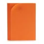 Feuille de Mousse Orange 30 x 0,2 x 20 cm (24 Unités) de Pincello, Papier pour travaux manuels - Réf : S3623134, Prix : 19,05...