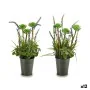 Plante décorative Lavande Métal Plastique 13 x 40 x 13 cm (12 Unités) de Ibergarden, Plantes artificielles - Réf : S3623240, ...