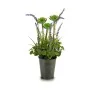 Decorative Plant Lavendar Metal Plastic 13 x 40 x 13 cm (12 Units) by Ibergarden, Artificial Plants - Ref: S3623240, Price: 7...