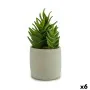 Planta Decorativa Suculenta Plástico 12 x 24 x 12 cm (6 Unidades) de Ibergarden, Plantas - Ref: S3623296, Preço: 78,19 €, Des...