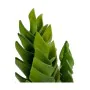 Decorative Plant Succulent Plastic 12 x 24 x 12 cm (6 Units) by Ibergarden, Artificial Plants - Ref: S3623296, Price: 78,19 €...