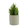 Planta Decorativa Suculenta Plástico 12 x 24 x 12 cm (6 Unidades) de Ibergarden, Plantas - Ref: S3623296, Preço: 78,19 €, Des...