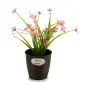 Planter Stefanplast Plastic 14 x 13 x 14 cm (12 Units) by Stefanplast, Cachepots - Ref: S3623598, Price: 17,88 €, Discount: %