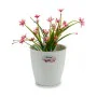 Plantador Stefanplast Branco Plástico 19 x 17,5 x 19 cm (12 Unidades) de Stefanplast, Vasos - Ref: S3623600, Preço: 28,46 €, ...