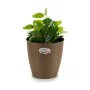 Plantador Stefanplast Castanho Plástico 24 x 22,5 x 24 cm (6 Unidades) de Stefanplast, Vasos - Ref: S3623604, Preço: 22,46 €,...