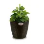 Planter Stefanplast Plastic 29 x 26,5 x 29 cm (6 Units) by Stefanplast, Cachepots - Ref: S3623606, Price: 32,14 €, Discount: %