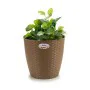 Plantador Stefanplast Castanho Plástico 29 x 27 x 29 cm (6 Unidades) de Stefanplast, Vasos - Ref: S3623607, Preço: 31,63 €, D...