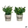 Plante décorative Plastique 16 x 22 x 16 cm (12 Unités) de Ibergarden, Plantes artificielles - Réf : S3623801, Prix : 67,61 €...