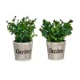 Plante décorative Plastique 16 x 22 x 16 cm (12 Unités) de Ibergarden, Plantes artificielles - Réf : S3623801, Prix : 67,61 €...