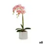 Decorative Plant Orchid 18 x 47 x 14 cm Plastic (6 Units) by Ibergarden, Artificial Plants - Ref: S3623932, Price: 40,28 €, D...