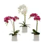 Decorative Plant Orchid 18 x 47 x 14 cm Plastic (6 Units) by Ibergarden, Artificial Plants - Ref: S3623932, Price: 40,28 €, D...