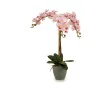 Decorative Plant Orchid Plastic 29 x 78 x 35 cm (2 Units) by Ibergarden, Artificial Plants - Ref: S3623947, Price: 50,84 €, D...