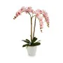 Decorative Plant Orchid Plastic 40 x 77 x 35 cm (2 Units) by Ibergarden, Artificial Plants - Ref: S3623948, Price: 50,84 €, D...