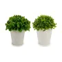 Decorative Plant Plastic 13 x 17 x 13 cm (12 Units) by Ibergarden, Artificial Plants - Ref: S3623959, Price: 28,01 €, Discoun...