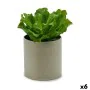 Plante décorative 20 x 25 x 20 cm (6 Unités) de Ibergarden, Plantes artificielles - Réf : S3623998, Prix : 45,83 €, Remise : %