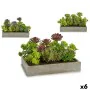 Pianta Decorativa Succulenta Plastica Cemento 16,5 x 20 x 28,5 cm (6 Unità) di Ibergarden, Piante artificiali - Rif: S3624093...