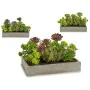 Plante décorative Succulent Plastique Ciment 16,5 x 20 x 28,5 cm (6 Unités) de Ibergarden, Plantes artificielles - Réf : S362...