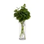 Branche Plastique 75 cm Volets (12 Unités) de Ibergarden, Compositions florales artificielles - Réf : S3624569, Prix : 40,16 ...