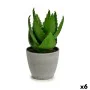 Pianta Decorativa Aloe Vera 15 x 23,5 x 15 cm Grigio Verde Plastica (6 Unità) di Ibergarden, Piante artificiali - Rif: S36245...