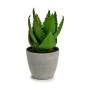 Pianta Decorativa Aloe Vera 15 x 23,5 x 15 cm Grigio Verde Plastica (6 Unità) di Ibergarden, Piante artificiali - Rif: S36245...