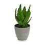 Dekorationspflanze Aloe Vera 14 x 21 x 14 cm Grau grün Kunststoff (6 Stück) von Ibergarden, Pflanzen - Ref: S3624575, Preis: ...