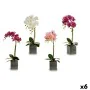 Decorative Flower Orchid Plastic 14 x 51 x 18 cm (6 Units) by Ibergarden, Artificial Flowers - Ref: S3624605, Price: 40,28 €,...