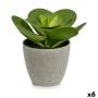 Decorative Plant 18 x 18,5 x 18 cm Grey Green Plastic (6 Units) by Ibergarden, Artificial Plants - Ref: S3624736, Price: 36,6...