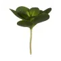 Plante décorative Volets Ronde Plastique 18 x 23 x 18 cm (6 Unités) de Ibergarden, Plantes artificielles - Réf : S3624951, Pr...