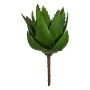 Plante décorative Aloe Vera 13 x 24,5 x 14 cm Vert Plastique (6 Unités) de Ibergarden, Plantes artificielles - Réf : S3624952...