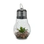 Lampion Guirlandes Ampoule Cactus Verre (8 Unités) de Gift Decor, Lanternes - Réf : S3625014, Prix : 71,57 €, Remise : %