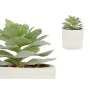 Plante décorative Succulent Plastique 14 x 13,5 x 14 cm (12 Unités) de Ibergarden, Plantes artificielles - Réf : S3626102, Pr...