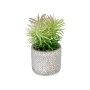 Plante décorative Succulent Bois Plastique 12 x 22 x 12 cm (8 Unités) de Ibergarden, Plantes artificielles - Réf : S3626104, ...