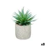 Planta Decorativa Suculenta Madera Plástico 17 x 21 x 17 cm (8 Unidades) de Ibergarden, Plantas - Ref: S3626105, Precio: 43,9...