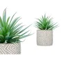 Planta Decorativa Suculenta Madeira Plástico 17 x 21 x 17 cm (8 Unidades) de Ibergarden, Plantas - Ref: S3626105, Preço: 43,9...