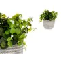 Plante décorative Fleurs Plastique 20 x 20,5 x 20 cm (8 Unités) de Ibergarden, Plantes artificielles - Réf : S3626106, Prix :...