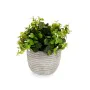 Decorative Plant Flowers Plastic 20 x 20,5 x 20 cm (8 Units) by Ibergarden, Artificial Plants - Ref: S3626106, Price: 53,94 €...