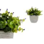 Decorative Plant Flowers Plastic 21 x 20,6 x 21 cm (8 Units) by Ibergarden, Artificial Plants - Ref: S3626107, Price: 55,02 €...