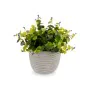 Decorative Plant Flowers Plastic 21 x 20,6 x 21 cm (8 Units) by Ibergarden, Artificial Plants - Ref: S3626107, Price: 55,02 €...