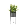 Plante décorative Eucalyptus Métal Plastique 14 x 40 x 14 cm (8 Unités) de Ibergarden, Plantes artificielles - Réf : S3626110...