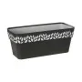 Self-watering planter Stefanplast Cloe Anthracite Plastic 13,3 x 12,3 x 29,3 cm (12 Units) by Stefanplast, Window Boxes - Ref...